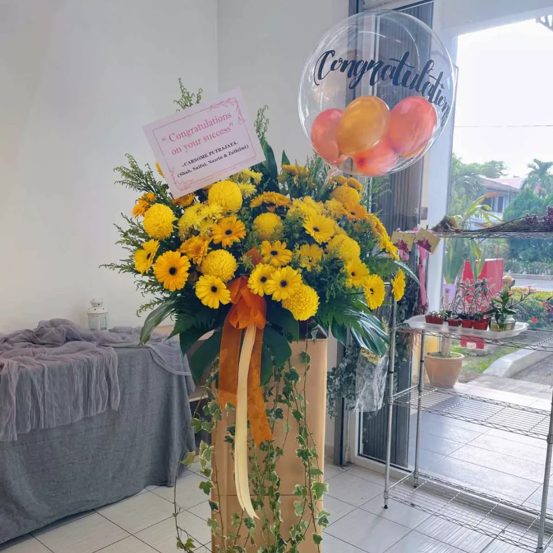 Opening Stand | Opening Stand 51