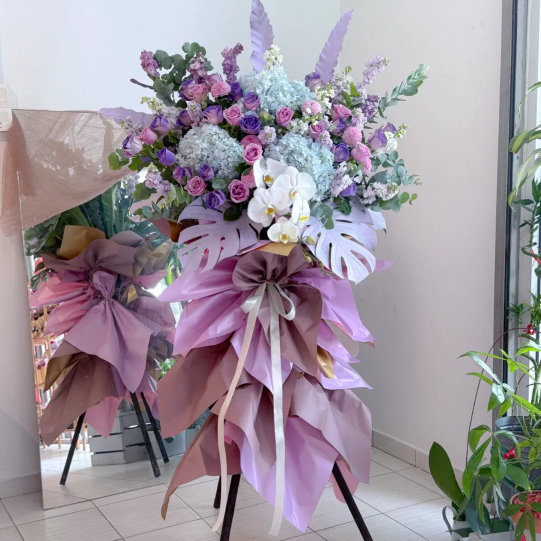 Opening Stand | Opening Stand 74