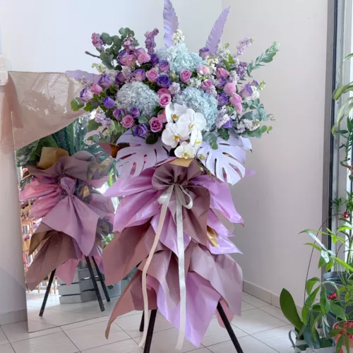 Opening Stand | Opening Stand 74