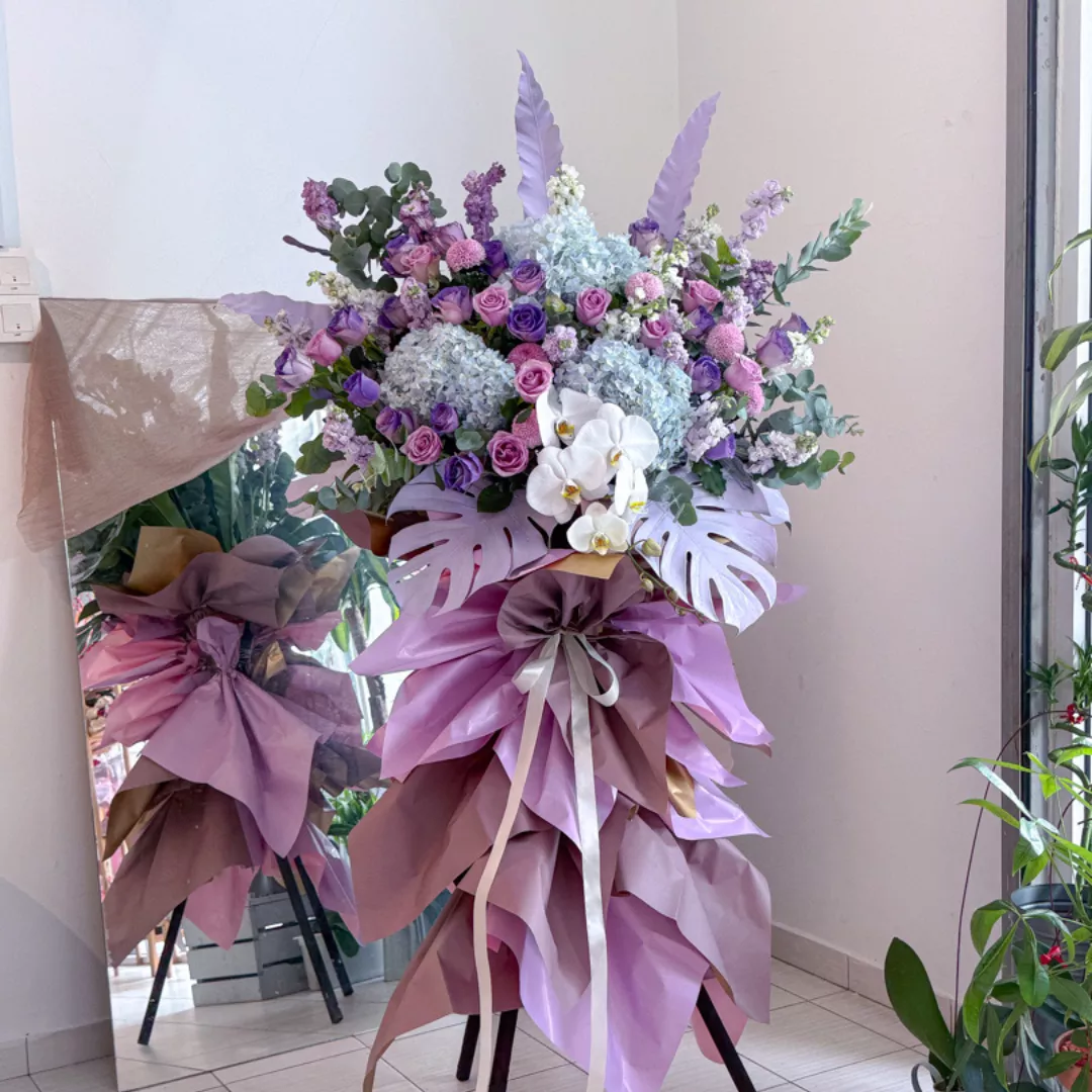 Opening Stand | Opening Stand 74