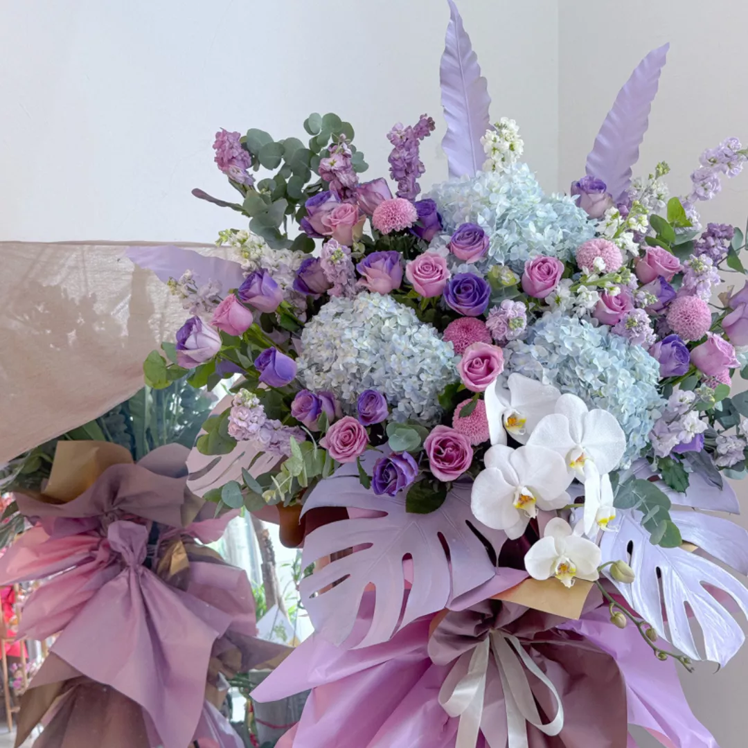 Opening Stand | Opening Stand 74