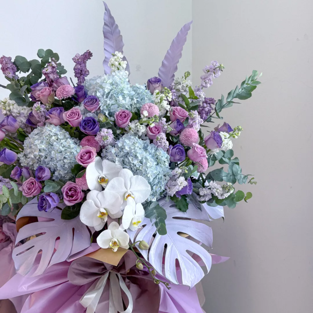 Opening Stand | Opening Stand 74