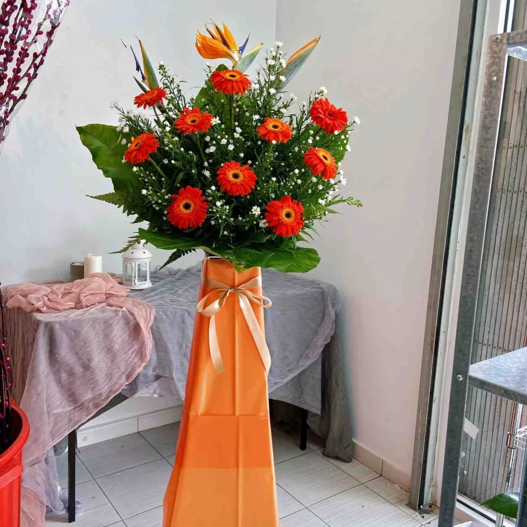 Opening Stand | Opening Stand 55