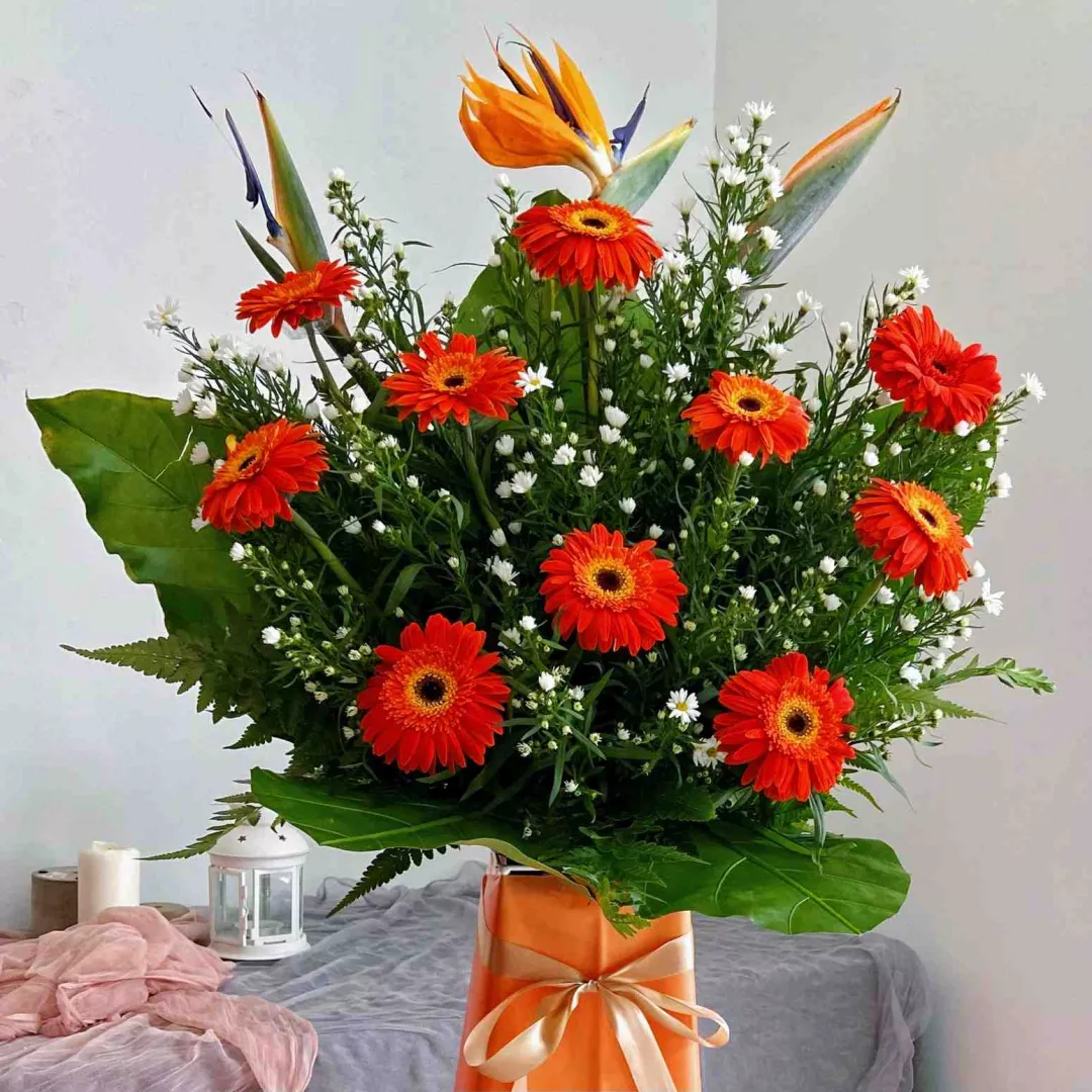 Opening Stand | Opening Stand 55