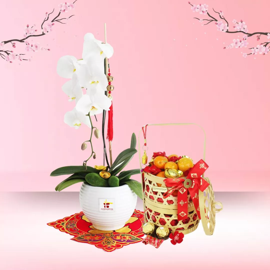 Blossom Prosperity - White Phalaenopsis Orchid