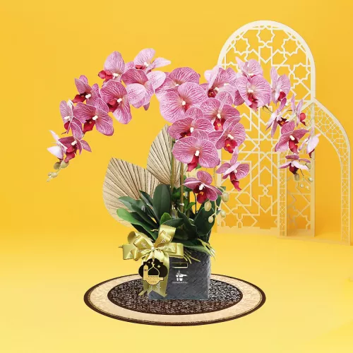 Seri Syawal 3 Stalk Pink Phalaenopsis Artificial Raya Hamper 2026