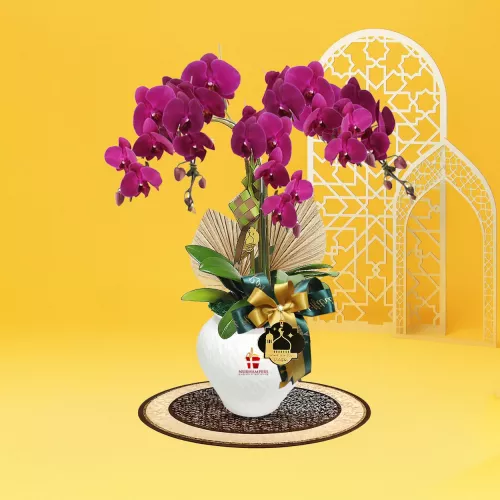 Mimpi Phalaenopsis Orchid 3 Stalk Raya Hamper 2026