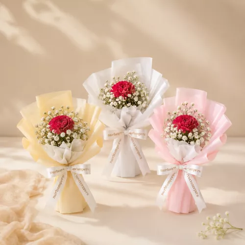 (2026 MOTHER'S DAY SPECIAL) Nurhampers Sweet Single Carnation Bouquet