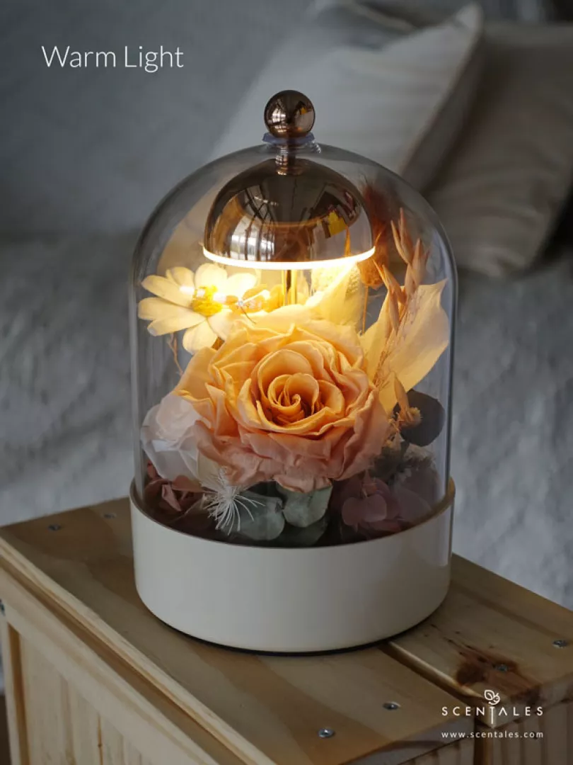 Scentales La Vie En Rose Bell Jar Lamp