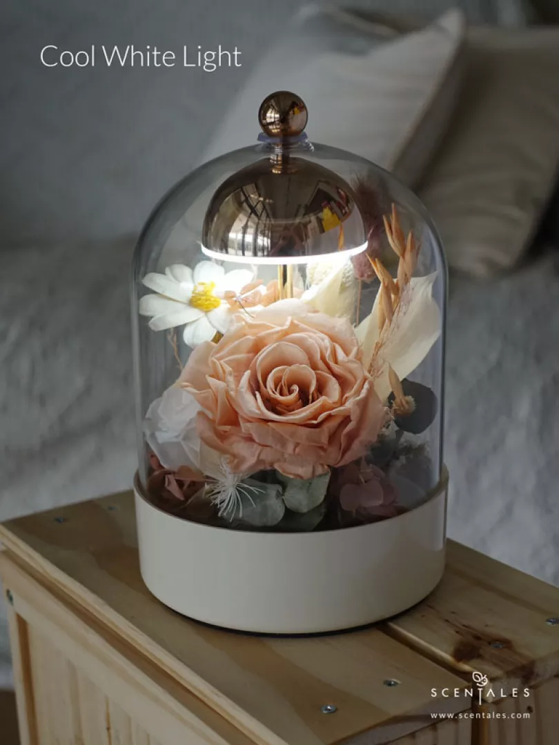 Scentales La Vie En Rose Bell Jar Lamp