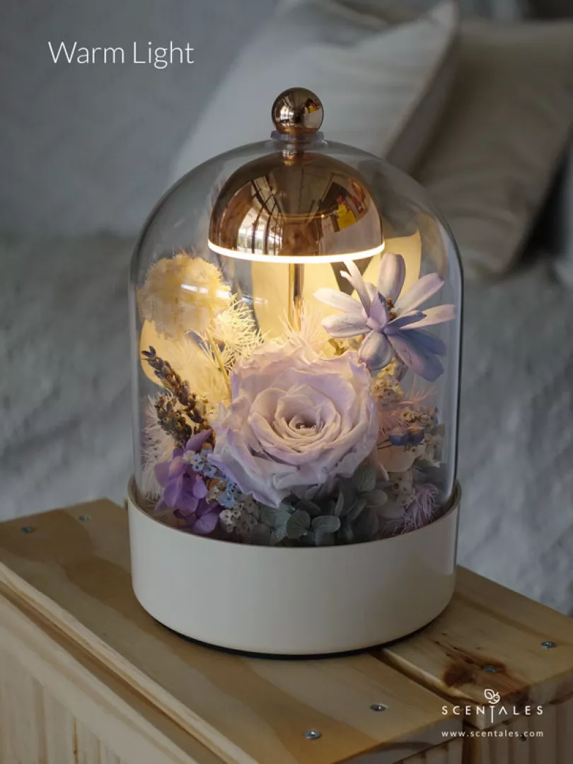 Scentales Violette Opaline Bell Jar Lamp