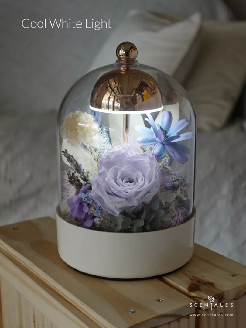 Scentales Violette Opaline Bell Jar Lamp