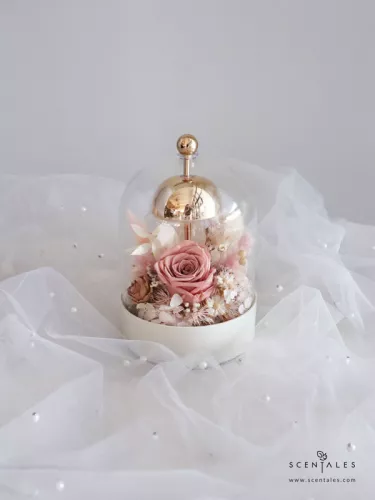 (2026 Valentine’s Day Special) Scentales Always & Forever Bell Jar Lamp