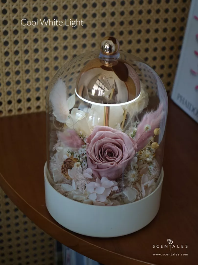 (2026 Valentine’s Day Special) Scentales Always & Forever Bell Jar Lamp