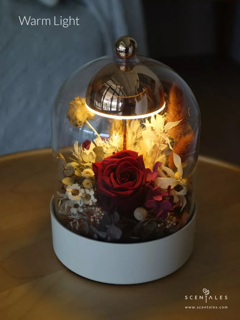 (2026 Valentine’s Day Special) Scentales Heirloom of the Heart Bell Jar Lamp