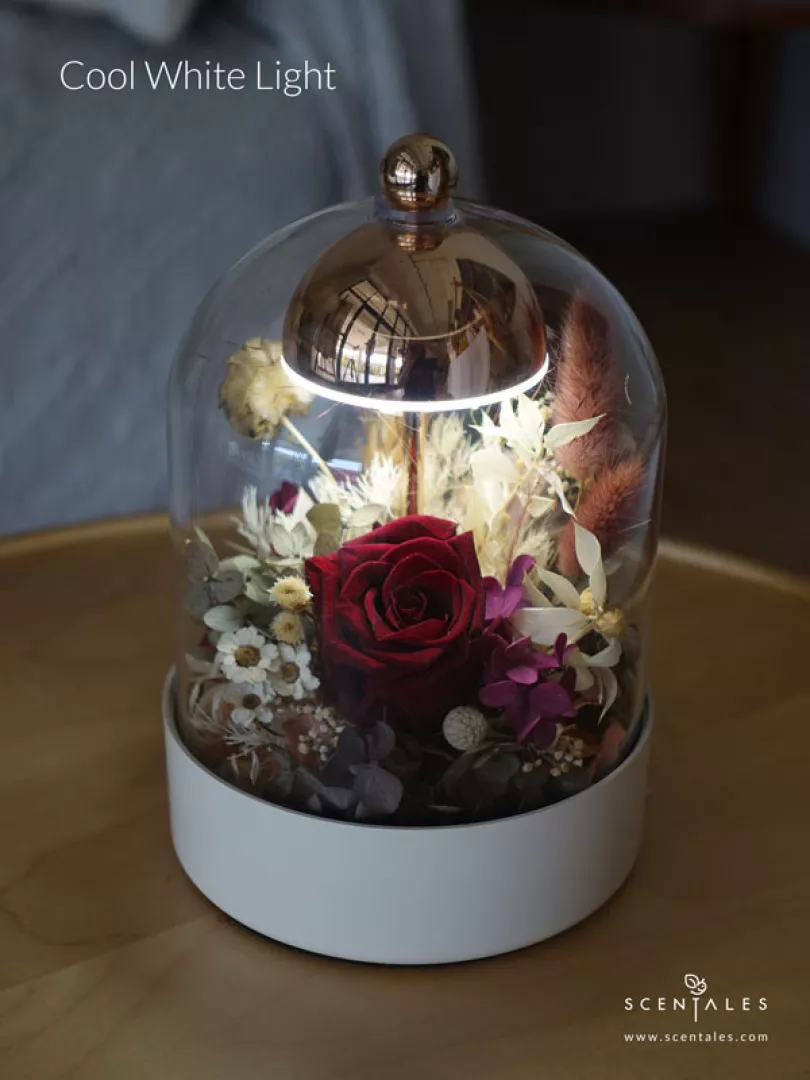 (2026 Valentine’s Day Special) Scentales Heirloom of the Heart Bell Jar Lamp