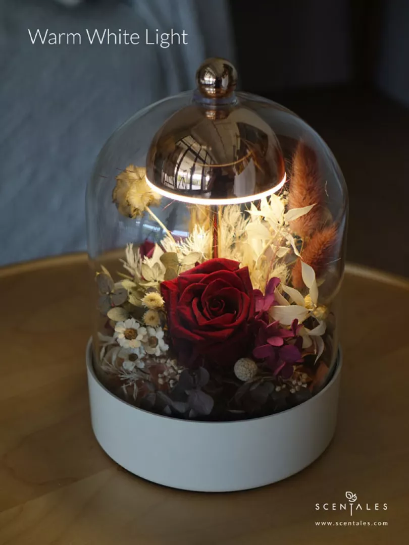 (2026 Valentine’s Day Special) Scentales Heirloom of the Heart Bell Jar Lamp