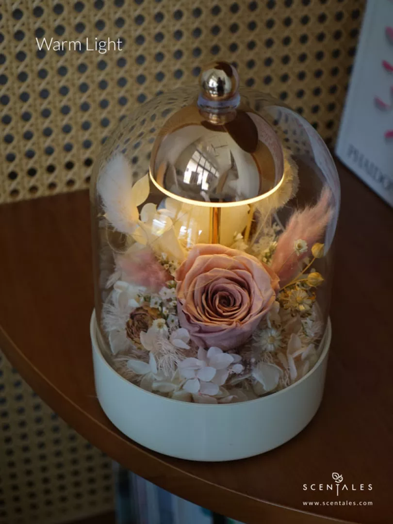 (2026 Mother’s Day Special) Scentales Always & Forever Bell Jar Lamp