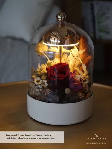 (2026 Mother’s Day Special) Scentales Heirloom of the Heart Bell Jar Lamp