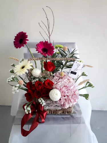 Questo Ã¨ bellissimo!