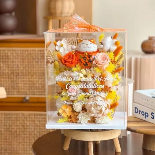 Lilian Fortune Cat Preserved Flower Box