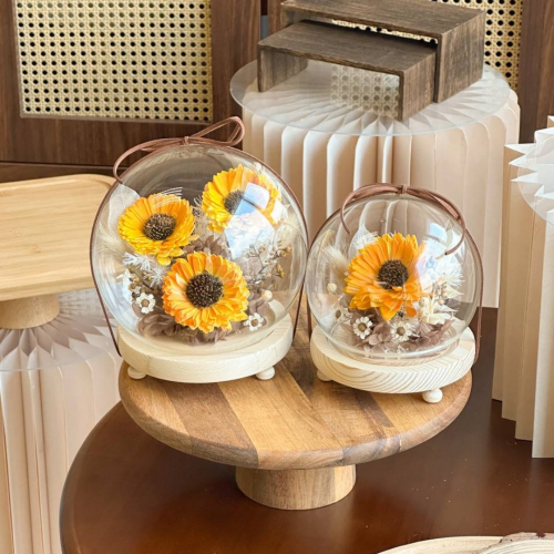 Villy Preserved Flower Globe 